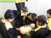 First Aid Training for Primary Students