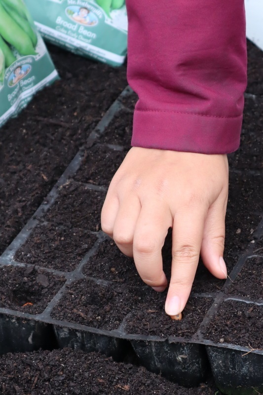 Sadaqah Sprouts Garden Club: Opening Ceremony