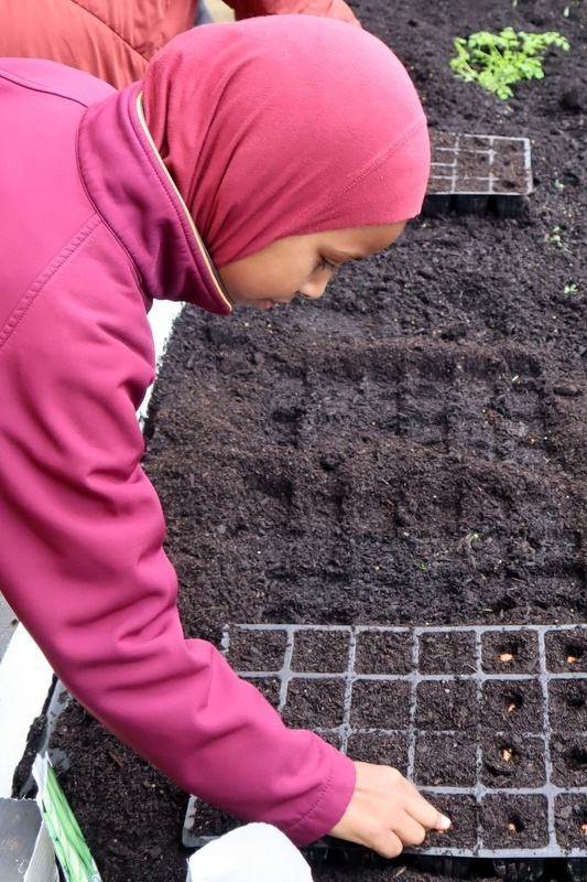 Sadaqah Sprouts Garden Club: Opening Ceremony