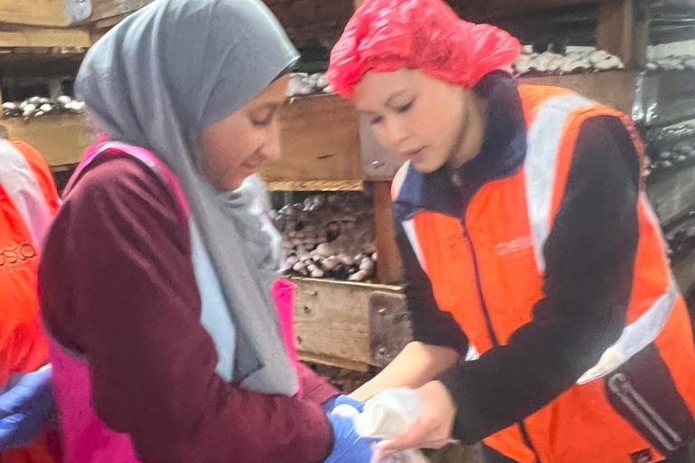 Year 8 KLIC Excursion: Mushroom Farm