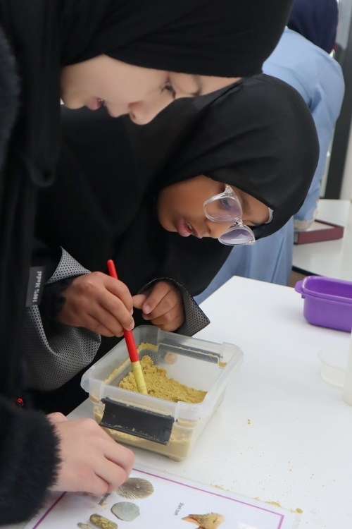 Year 5: Earth Science Incursion