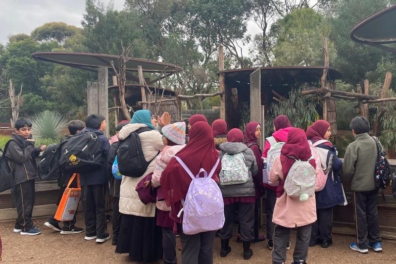 Year 4 Visit to Werribee Zoo