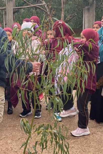 Year 4 Visit to Werribee Zoo