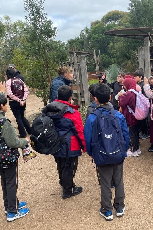 Year 4 Visit to Werribee Zoo