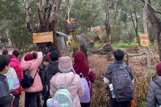 Year 4 Visit to Werribee Zoo