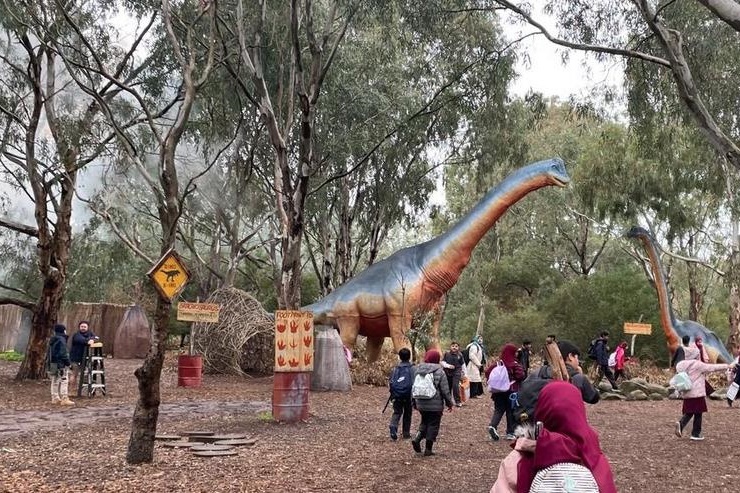 Year 4 Visit to Werribee Zoo