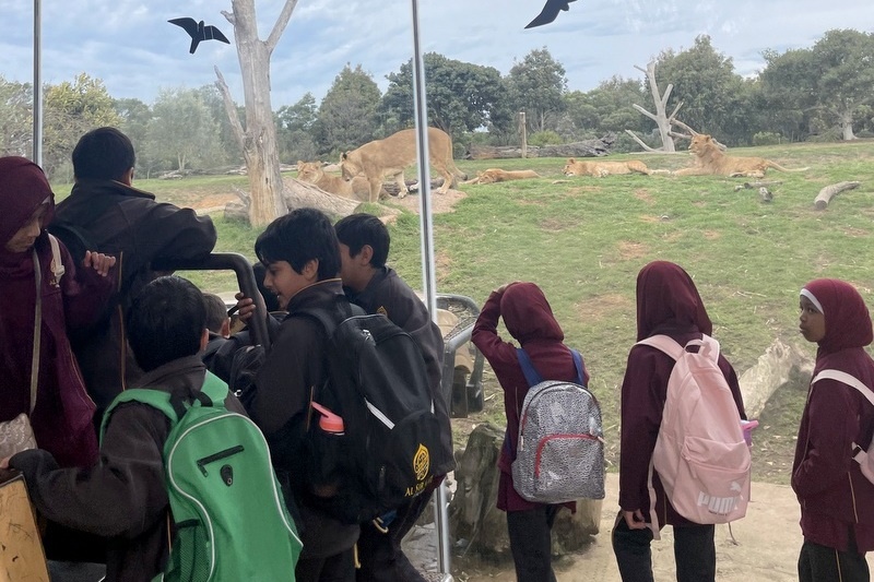 Year 4 Visit to Werribee Zoo