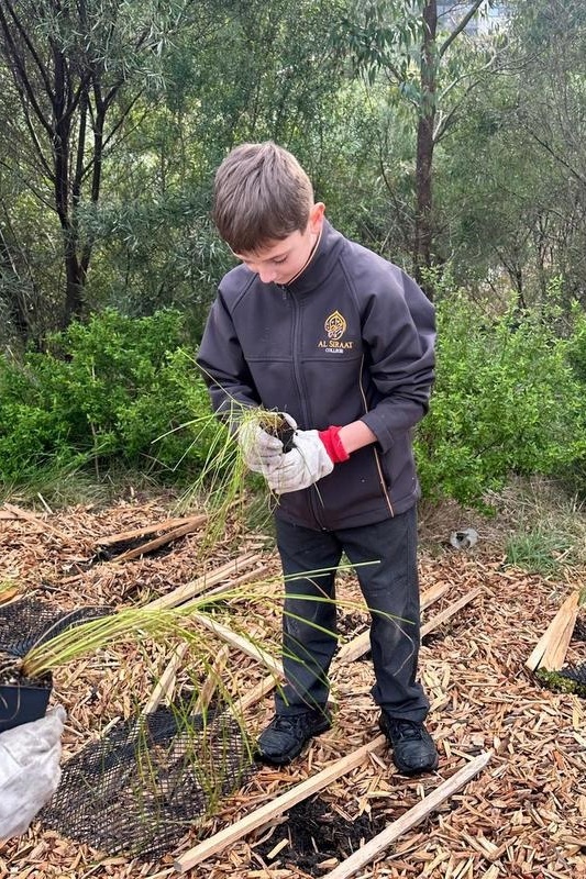 Year 4: Tree Planting at Axebridge Reserve