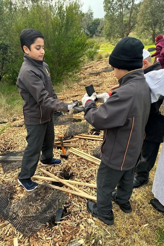 Year 4: Tree Planting at Axebridge Reserve