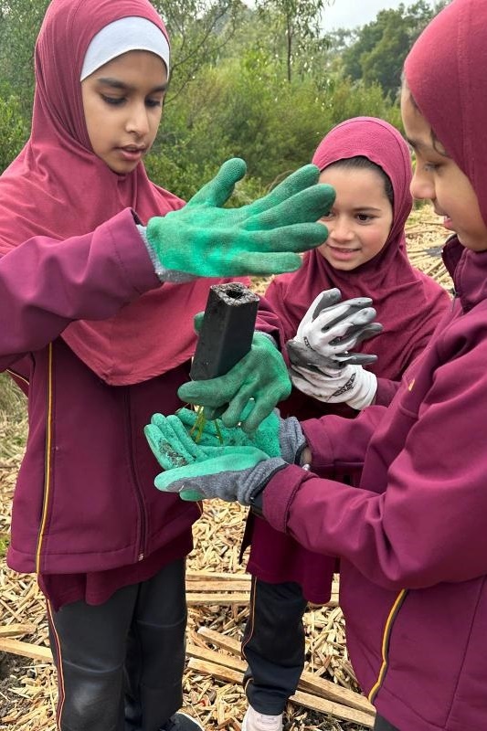 Year 4: Tree Planting at Axebridge Reserve