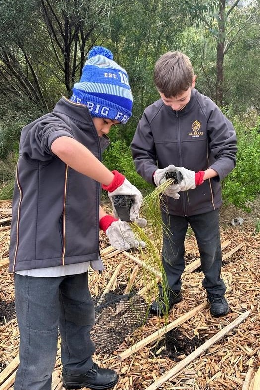 Year 4: Tree Planting at Axebridge Reserve