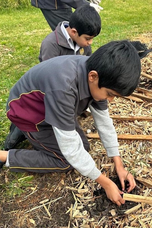 Year 4: Tree Planting at Axebridge Reserve