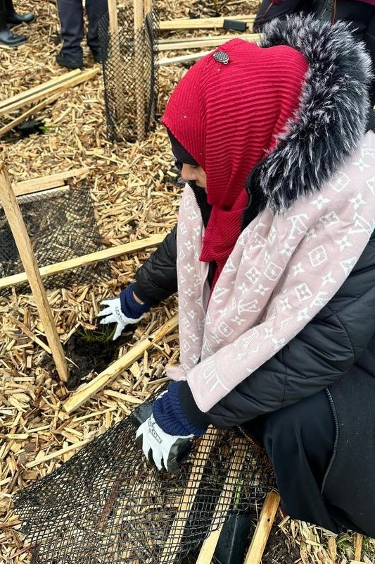 Year 4: Tree Planting at Axebridge Reserve