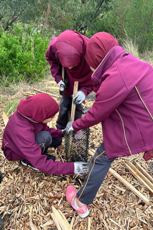 Year 4: Tree Planting at Axebridge Reserve