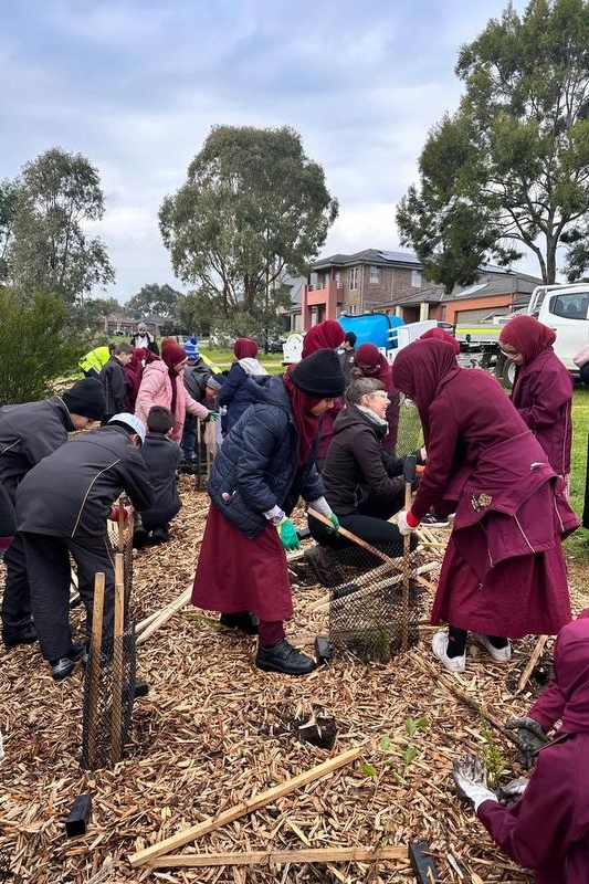 Year 4: Tree Planting at Axebridge Reserve