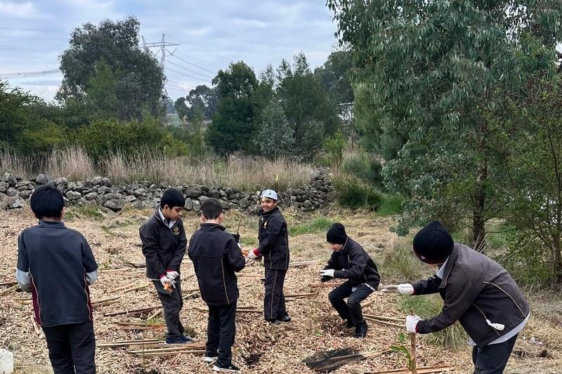 Year 4: Tree Planting at Axebridge Reserve