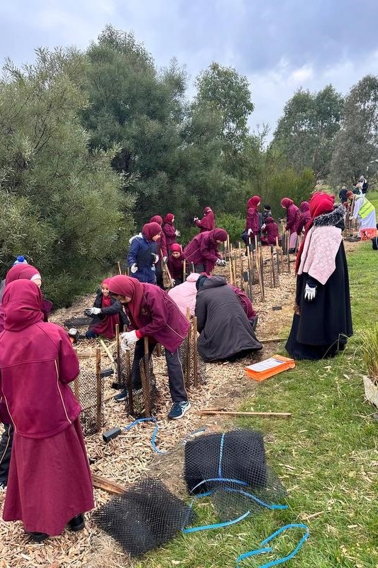 Year 4: Tree Planting at Axebridge Reserve