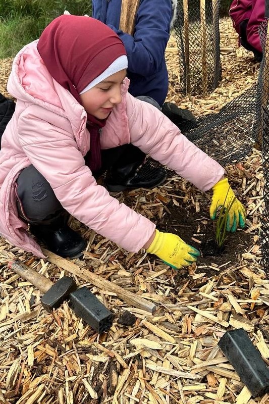 Year 4: Tree Planting at Axebridge Reserve