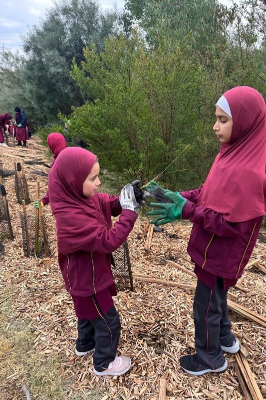 Year 4: Tree Planting at Axebridge Reserve