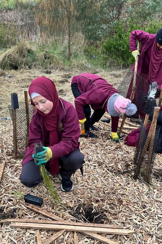 Year 4: Tree Planting at Axebridge Reserve