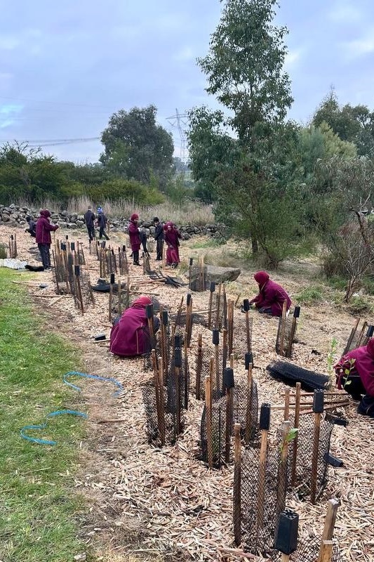 Year 4: Tree Planting at Axebridge Reserve