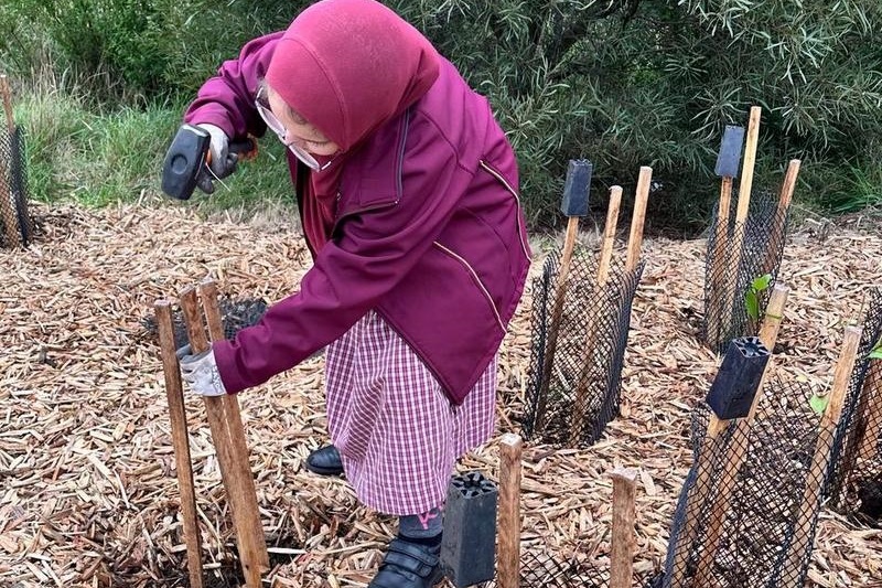 Year 4: Tree Planting at Axebridge Reserve