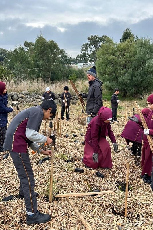 Year 4: Tree Planting at Axebridge Reserve