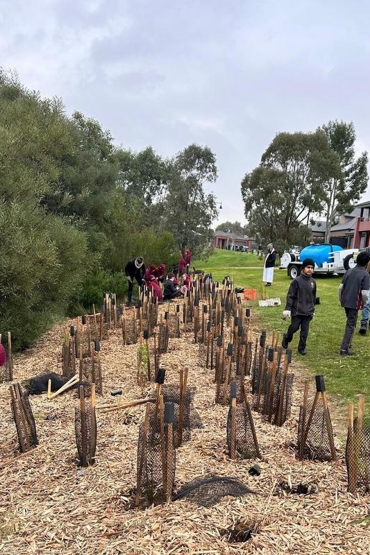 Year 4: Tree Planting at Axebridge Reserve