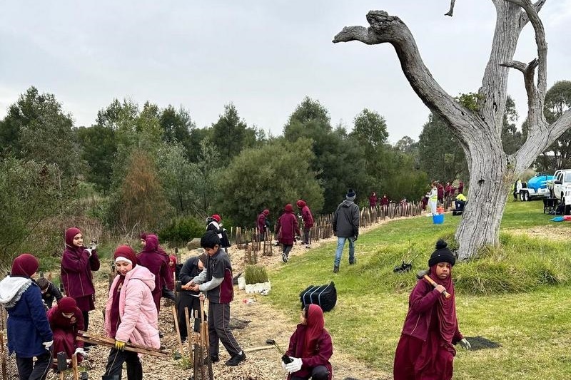 Year 4: Tree Planting at Axebridge Reserve