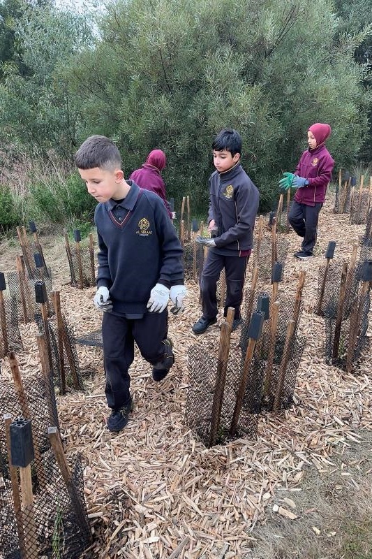 Year 4: Tree Planting at Axebridge Reserve