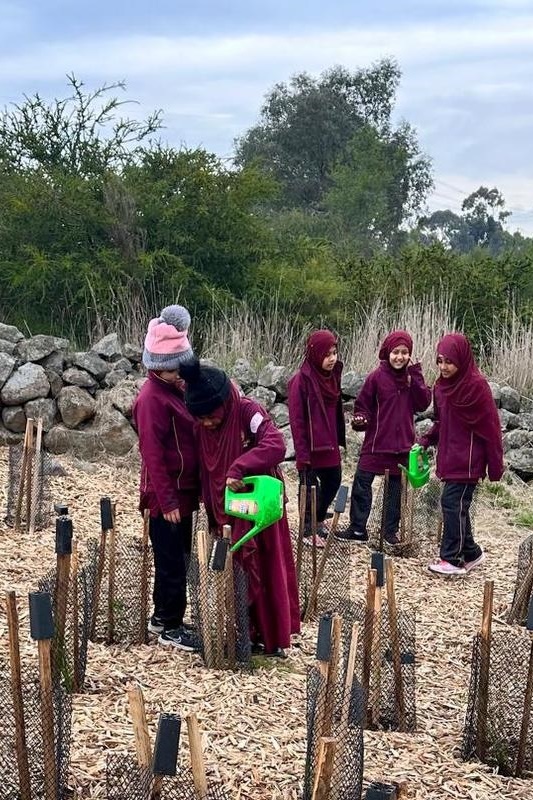 Year 4: Tree Planting at Axebridge Reserve