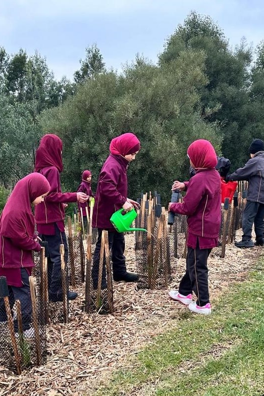 Year 4: Tree Planting at Axebridge Reserve