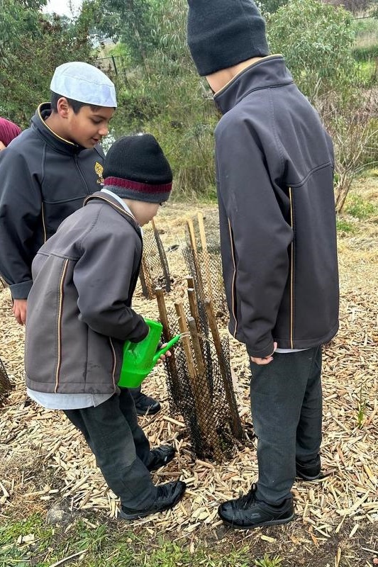 Year 4: Tree Planting at Axebridge Reserve