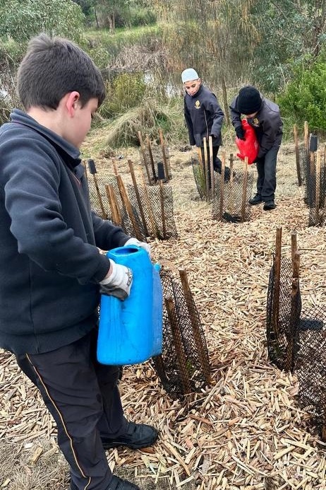 Year 4: Tree Planting at Axebridge Reserve