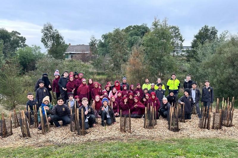 Year 4: Tree Planting at Axebridge Reserve