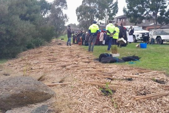 Year 4: Tree Planting at Axebridge Reserve