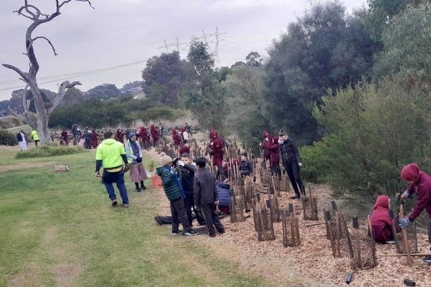 Year 4: Tree Planting at Axebridge Reserve