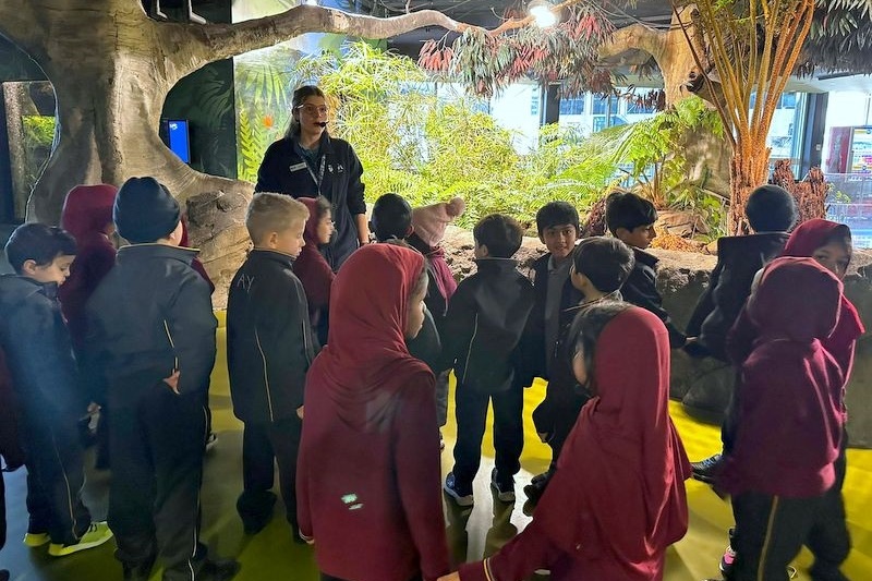 Foundation Excursion: SEA LIFE Melbourne Aquarium