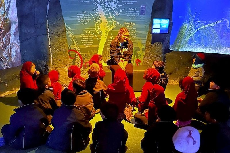 Foundation Excursion: SEA LIFE Melbourne Aquarium