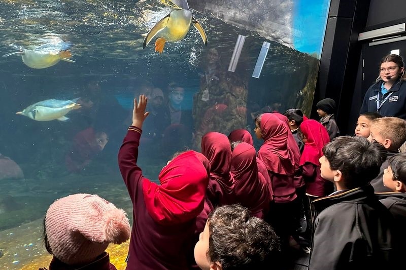 Foundation Excursion: SEA LIFE Melbourne Aquarium