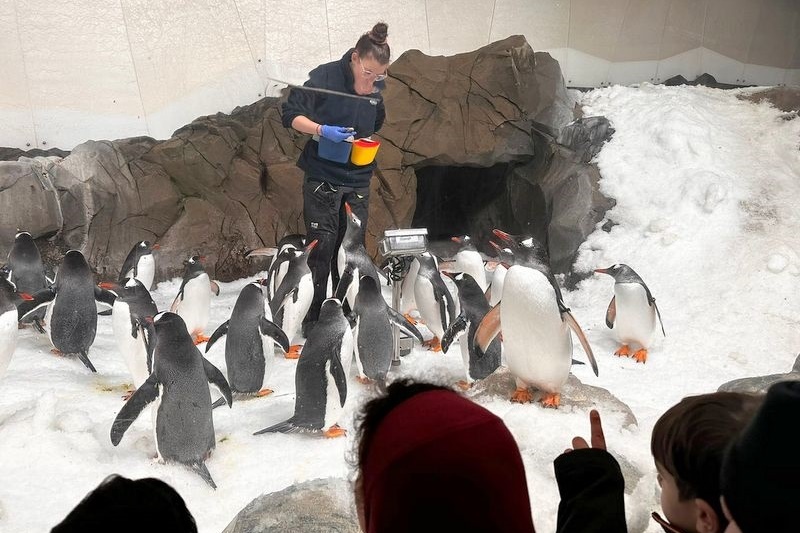 Foundation Excursion: SEA LIFE Melbourne Aquarium