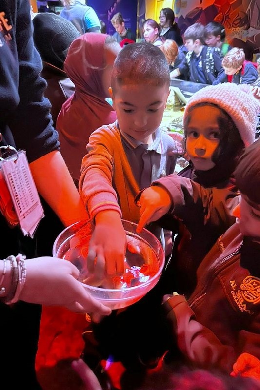 Foundation Excursion: SEA LIFE Melbourne Aquarium