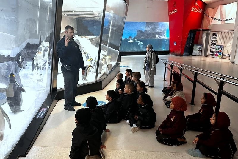 Foundation Excursion: SEA LIFE Melbourne Aquarium