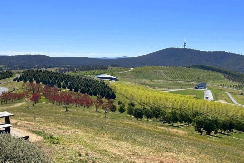 Year 9 Canberra Camp 2024