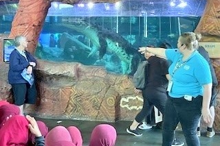 Year 4 Excursion: Sea Life Aquarium