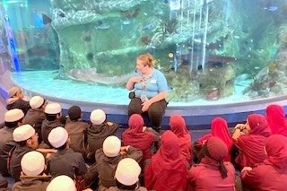 Year 4 Excursion: Sea Life Aquarium