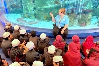 Year 4 Excursion: Sea Life Aquarium