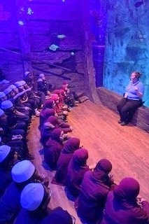 Year 4 Excursion: Sea Life Aquarium