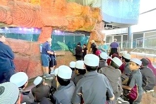 Year 4 Excursion: Sea Life Aquarium