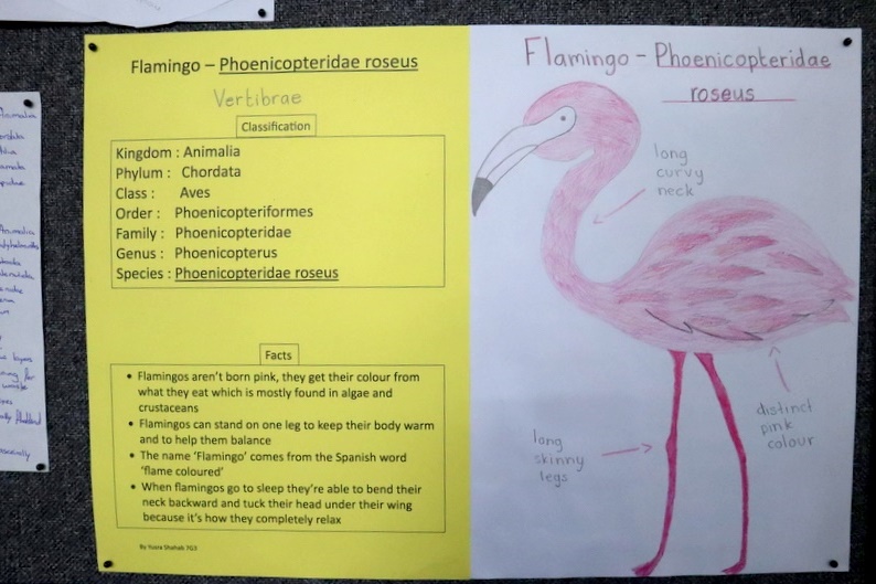 Secondary Exhibition: A Journey Through Knowledge